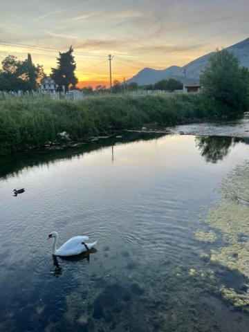 Villa Smjestaj Dada Trebinje Exterior foto