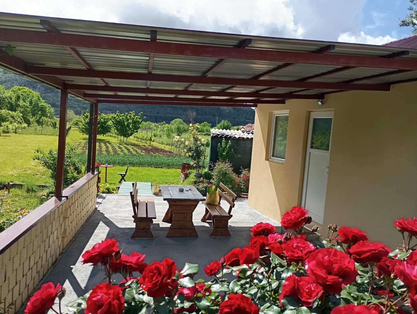 Villa Smjestaj Dada Trebinje Exterior foto